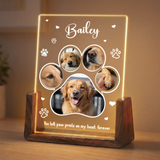 Custom Dog Memorial Gifts - Personalized Dog Photo Night Light - Remembrance Gifts for Pet Lovers - Loss of Dog Sympathy Gift