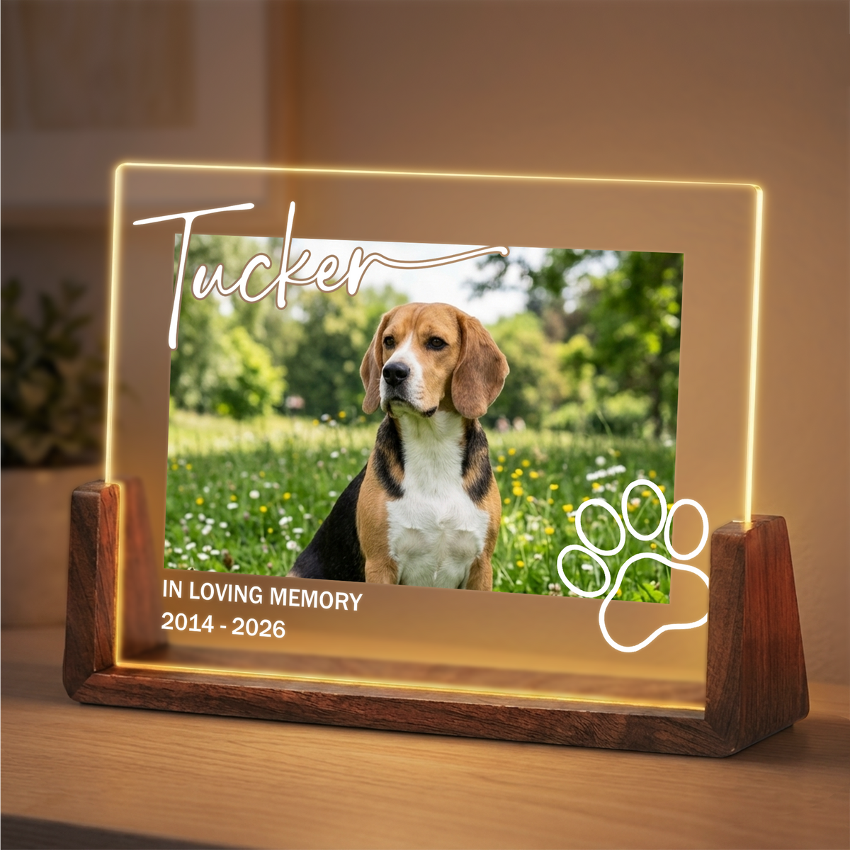 Personalized Pet Photo Night Light - Custom Acrylic Dog Memorial Photo Frame - Loss of Dog Sympathy Gift - Bereavement Gifts for Pet Lovers