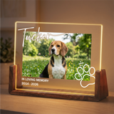 Personalized Pet Photo Night Light - Custom Acrylic Dog Memorial Photo Frame - Loss of Dog Sympathy Gift - Bereavement Gifts for Pet Lovers