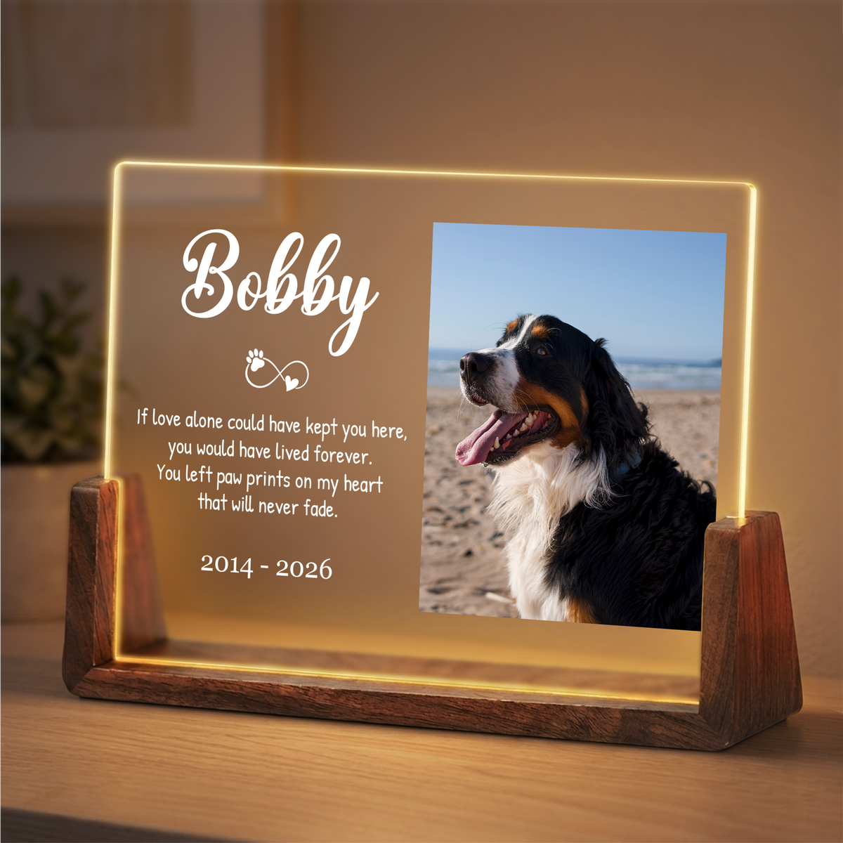 Custom Photo Night Light for Dog Lovers - Personalized Dog Memorial Photo Frame - Remembrance Pet Memory Gifts for Pet Lovers